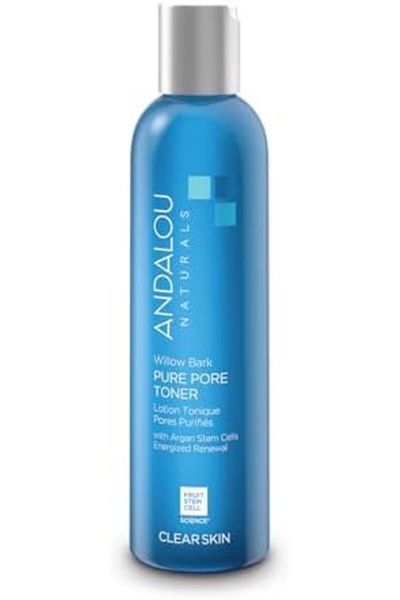 Andalou Naturals Willow Bark Pure Pore Toner, 6 Ounces