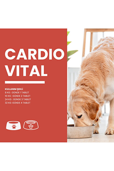 Zoovital Cardiovital Kedi Ve Köpekler Için Kalp Desteği