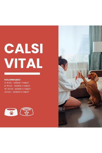 Zoovital Calsivital Kedi Ve Köpekler İçin Destekleyici Lezzetli 60 Tablet