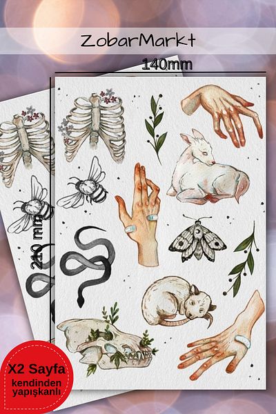 ZobarMarkt ONLINE MARKETING Anatomy Aesthetic Sticker Set (for Agenda Laptop Bullet Journal)