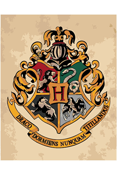 wombhobby HOQWARDS AMBLEMİ 3 Sayılarla Boyama Seti 40x50 Çerçeveli (Kasnağa )...