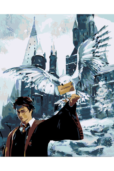 wombhobby HARRY POTTER VE BAYKUŞU 2 Sayılarla Boyama Seti 40x50 Çerçeveli (Ka...