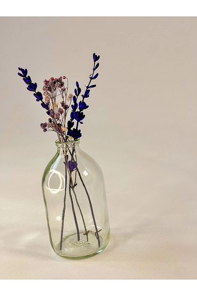 Juniberry 100ml Bottle Small Glass Vase with Lid(Without Flowers)