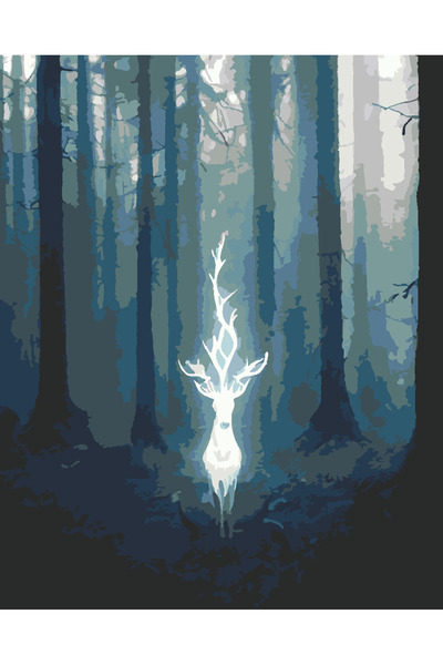 wombhobby PATRONUM Sayılarla Boyama Seti 40x50 ÇERÇEVESİZ RULO ! DİKKAT