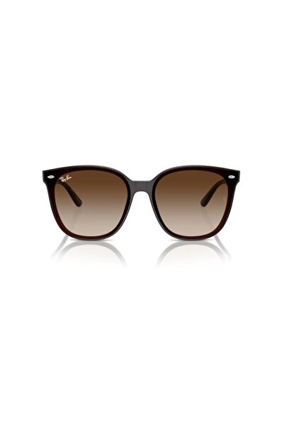 Ray-Ban Sunglasses Rb4423D 66 714/13