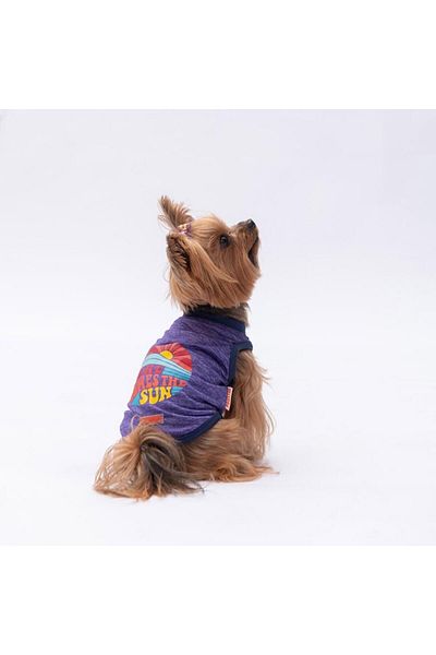 Pawstar Purple the Sun Cat Dog T-Shirt - Cat Dog Apparel