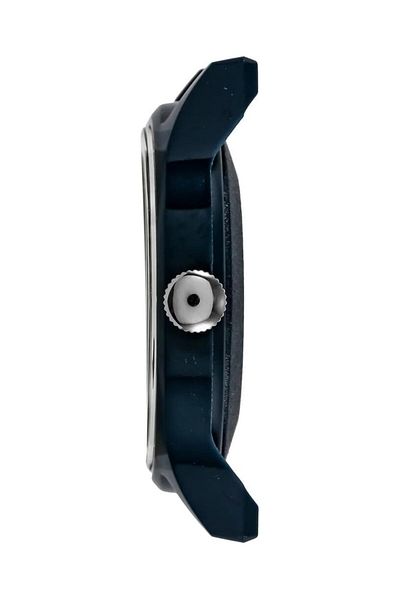 Generic Timex Watch Tw2T33800