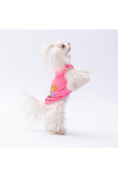 Pawstar Neon Pink Happy Day Cat Dog T-Shirt - Cat Dog Apparel