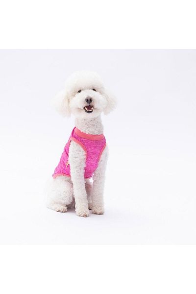 Pawstar Fuchsia the Sun Cat Dog T-Shirt - Cat Dog Apparel