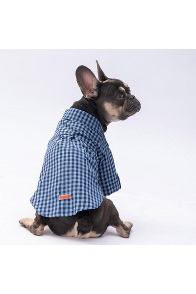 Pawstar Blue Luss Cat Dog Shirt - Cat Dog Apparel