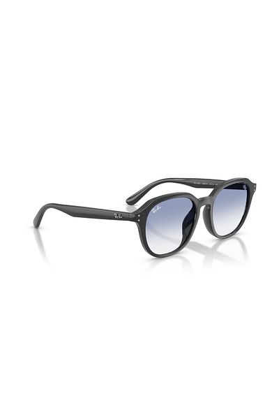 Ray-Ban Sunglasses Rb4459D 54 623019