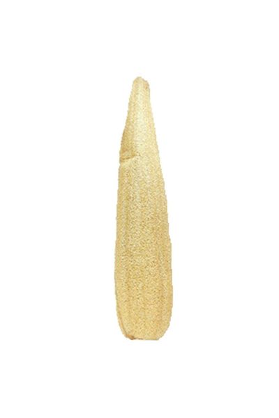 Zencefil Organik Raw Pumpkin Fiber Pumpkin Pouch Raw Unprocessed Model Bath Pouch Large Size Pumpkin Pouch