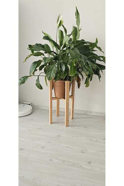 ÇağlaDesign Ahşap Dekoratif Saksı Altlığı 60 cm