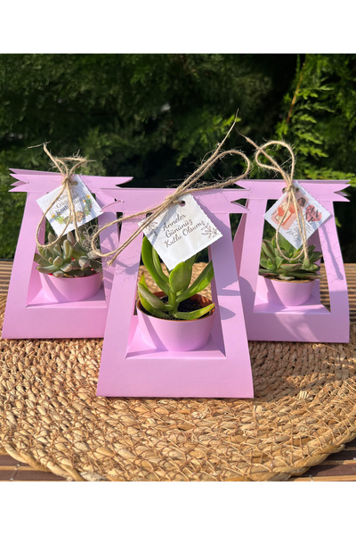 Store Anneler Günü Özel 15 ADET Kare Çanta (Pembe Renk) Süslemeli Sukulent