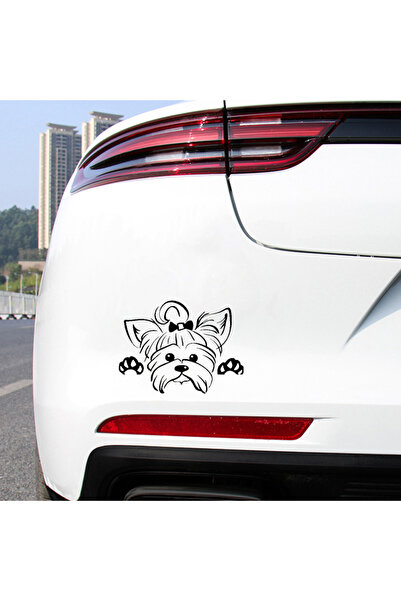 New Jargon ملصق زجاجي رسمي للسيارة من يوركشاير تيرير لأجهزة الكمبيوتر والشاحن...