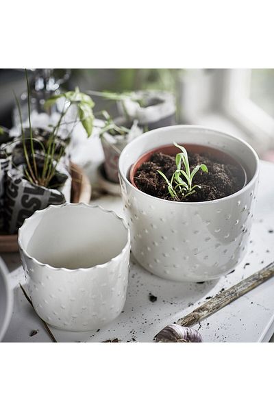 IKEA SESAMFRÖN Plant pot, in/outdoor off-white, 9 cm