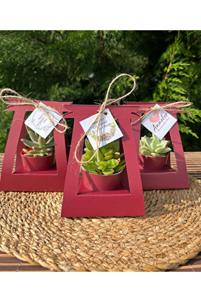 Store Anneler Günü Özel 15 ADET Kare Çanta (Bordo Renk) Süslemeli Sukulent