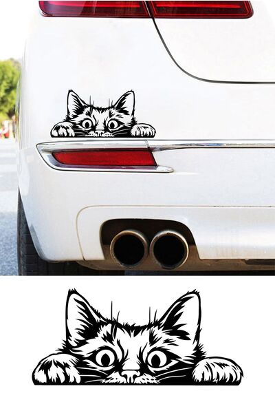 New Jargon ملصق نافذة السيارة على شكل قطة تنظر من خلال صندوق السيارة للكمبيوت...