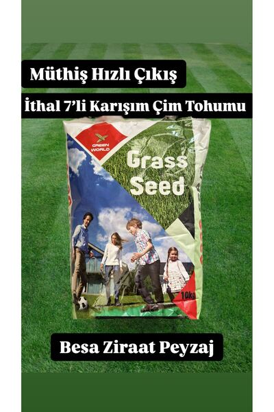 eb yeşil yaşam Çok Yıllık Çim Tohumu 10 Kg Uzun Ömürlü 7'lı Karışım Gölge ve ...