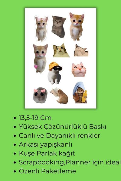 birikiyedi Funny Cats Set of 4, Sticker, Label, Agenda, Diary, Planner, Scrapbook, Laptop, Flask