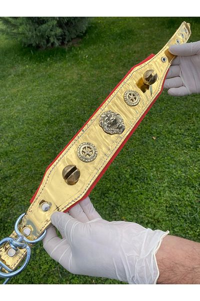 Sürmeli Tasma Puppy Kangal Dog Collar - Gold Series with 2 Bells - Real Leather