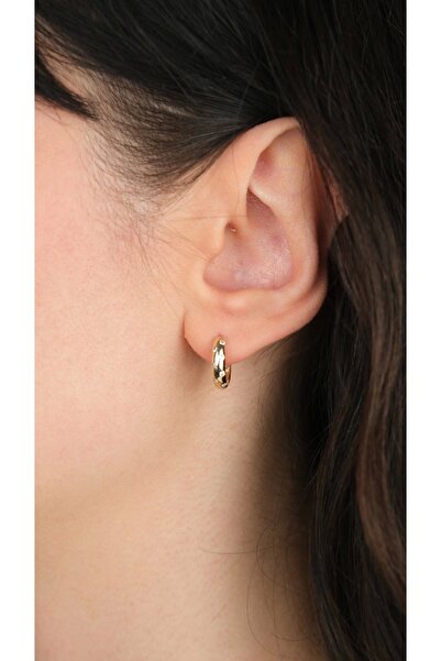 Arpaş 14 Ayar Altın Taş Detaylı Oval Halka Küpe 997