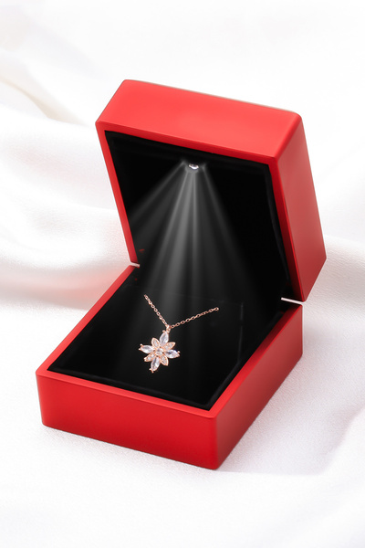 Linterna Silver 925 Ayar Gümüş Işıklı Kutuda Nergis Çiçeği Kolye