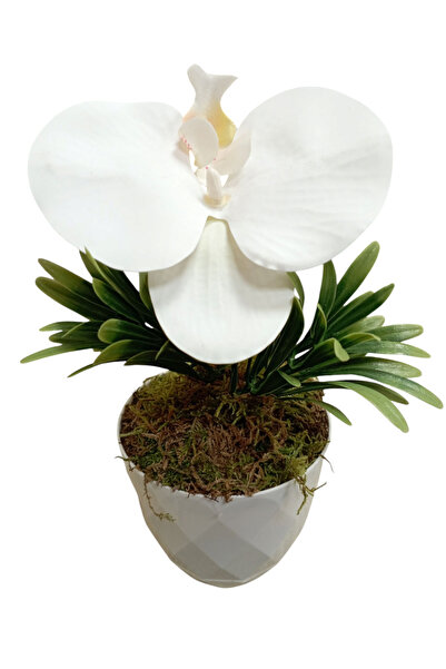 Cennet Home زهرة الأوركيد النقية مصباح زيت واحد من السيراميك تبدو زهرة صناعية في وعاء بلاستيكي أبيض