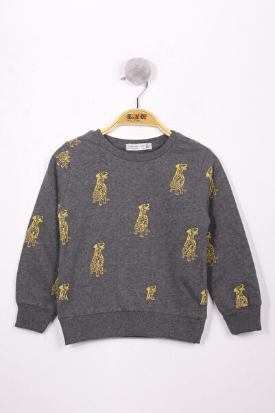 Toontoy Φούτερ με στάμπα σκύλου για αγόρι