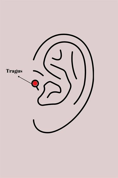 Clariss 316l Çelik Gümüş Renk Zirkon Taşlı Çiçek Model Sallantı Detay Tragus Piercing