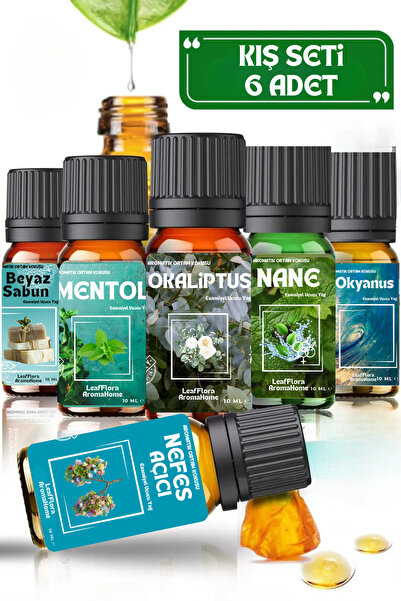 LeafFlora AromaHome Kış Seti - Esansiyel Koku Yağları - 6 x 10 ML - Buhurdanl...