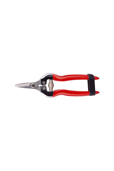 Palmera Sp16 Fruit Picking Scissors