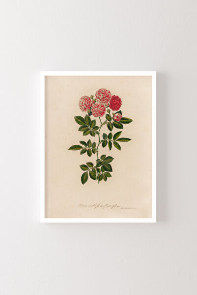epiqart Serantoni - White Frame