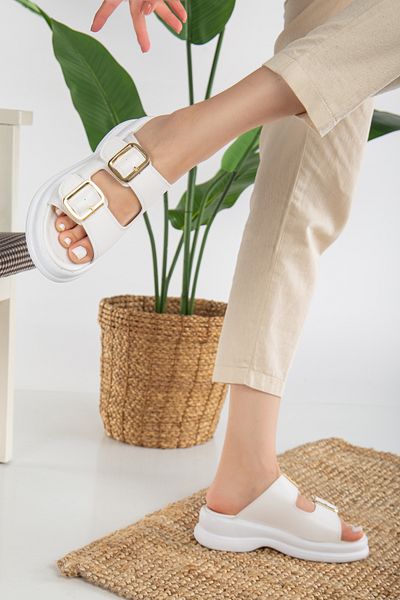 HCO Mules