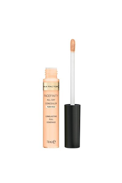 Max Factor All Day Flawless Concealer Shade 010