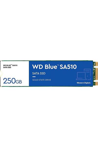 WESTERN DIGITAL SSD Western Digital Blue SA510 250GB SATA-III M.2 2280