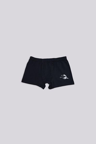 Nebbati Bg Store Boys Colorful Boxers
