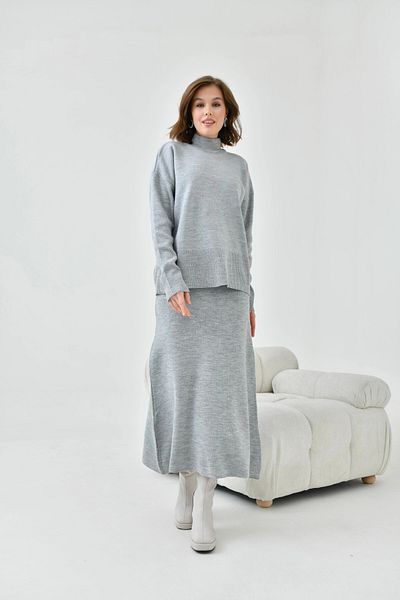 Park Karon Women's Gray Skirt Elastic Knitwear Set