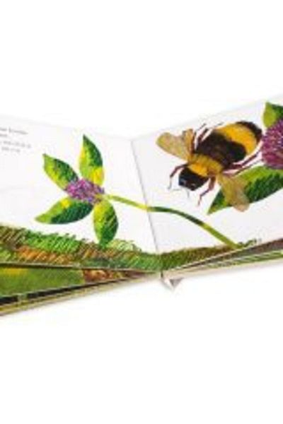 Eric Carle Carle E - Cântecul de greier