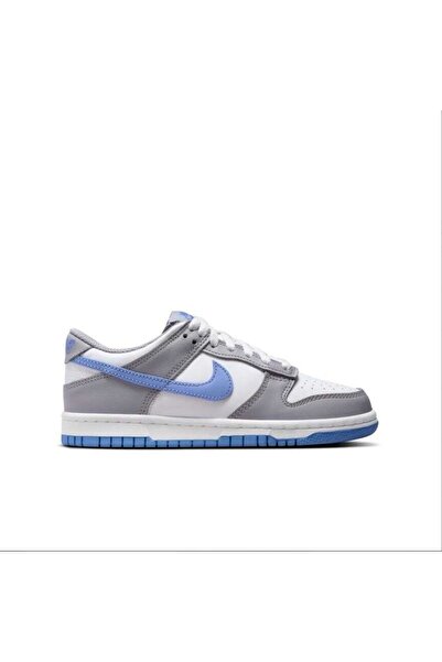 Nike Dunk Low Gs Sneaker Ayakkabı