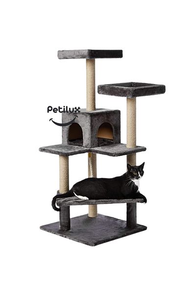 Petilux Cat Scratch House and Platform Tracks