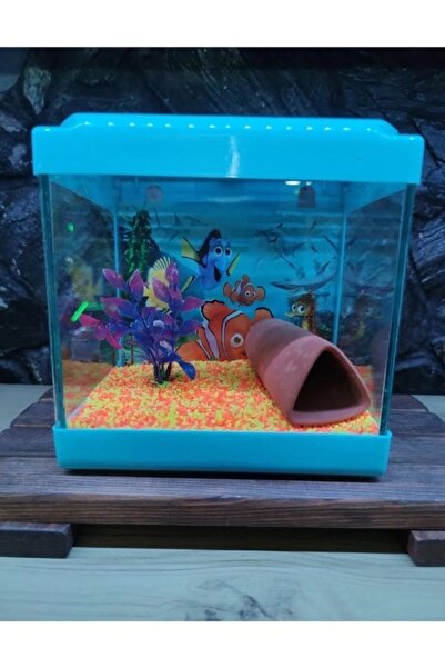 canlipetshop Mavi Renkli Mini Kare Akvaryum 20x20x15