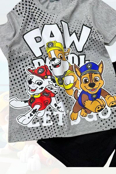 eQru Store Paw Patrol Printed Gray T-Shirt and Black Shorts Summer Children's Set