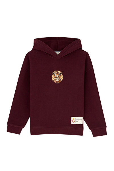 GSStore X Reflect Studio Aslan Çocuk Hoodie C242400
