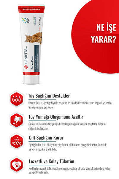 Benifital Derma Paste 100 gr Kediler için Tüy Yapısı Destekleyici Premium Malt Paste Macun