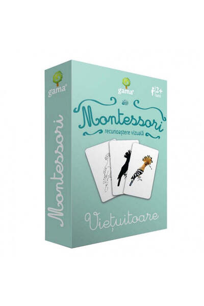 Gama Visual recognition. Living