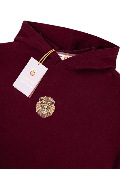 GSStore X Reflect Studio Aslan Hoodie E242400