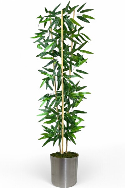 ERHAN FLOWERS ÇİÇEK & DEKORASYON Dekoratif Yapay Yapraklı 3 Gövde Bambu Ağacı...