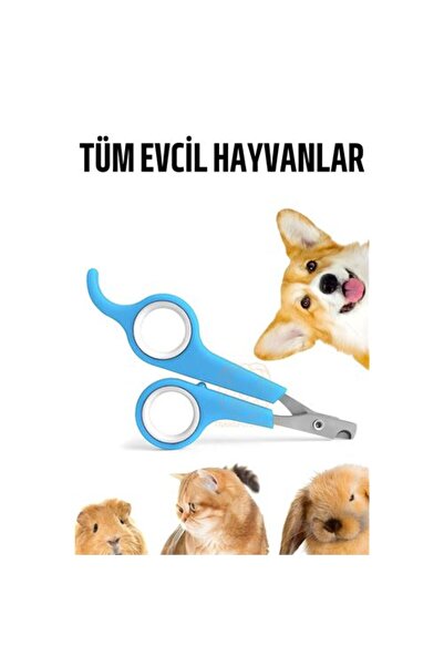ModaCar Kedi Tırnak Makası Evcil Hayvan Köpek Tavşan Tırnak Makası