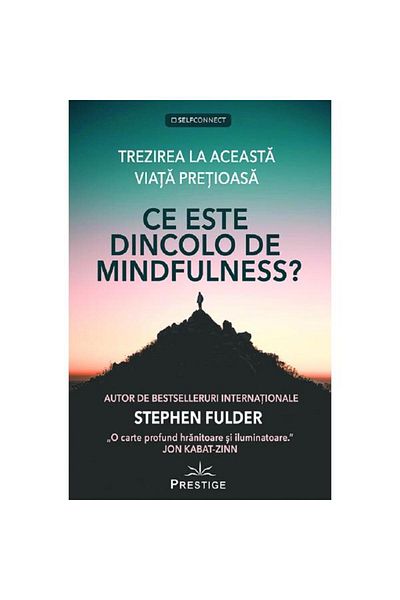 Prestige What is beyond Mindfulness? - Stephen Fulder